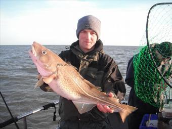 7 lb Cod by Damien Townsend - Whitby