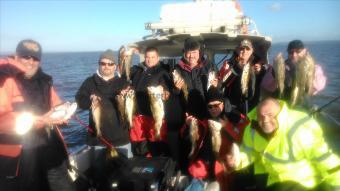 7 lb Cod by uptiders reunion part of 35 cod haul