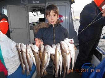 1 lb Whiting by Carmen