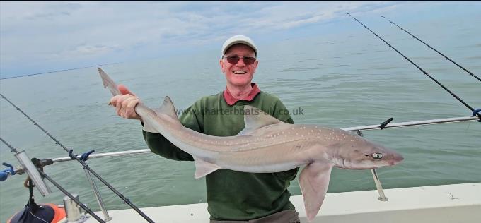 14 lb Starry Smooth-hound by Gary