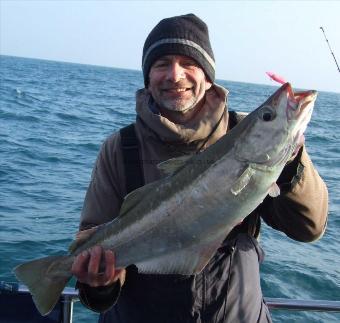 10 lb 10 oz Pollock by Rick Hawkins