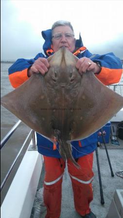 15 lb Blonde Ray by Pat