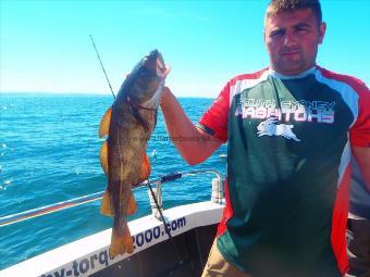 4 lb 13 oz Cod by Dan from Driffield.