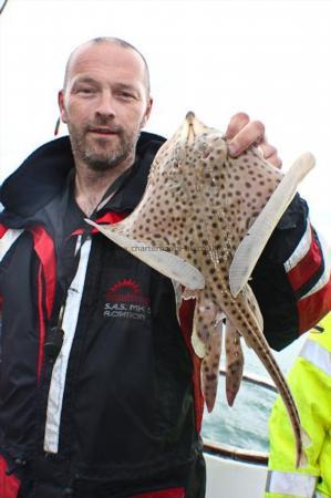 2 lb Spotted Ray by Mark