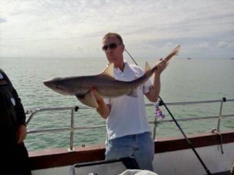 18 lb Smooth-hound (Common) by Alan Tidd