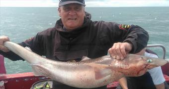 16 lb 8 oz Spurdog by david