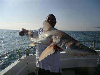 14 lb 6 oz Smooth-hound (Common) by George