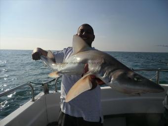 14 lb 6 oz Smooth-hound by George