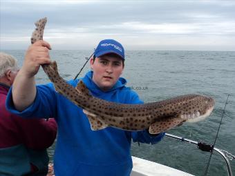 8 lb 8 oz Bull Huss by Luke Rees