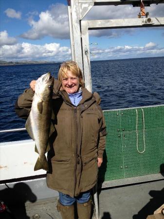 6 lb Pollock by Rose