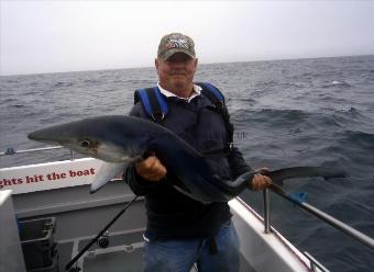 50 lb Blue Shark by Steve