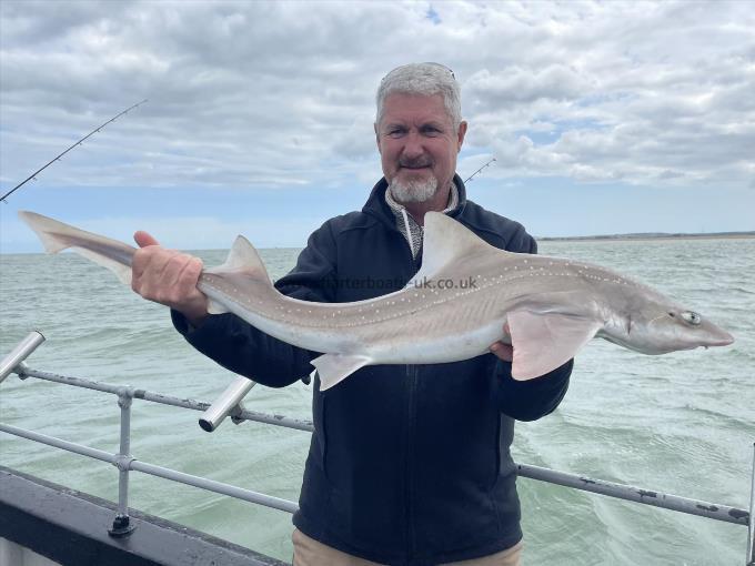 12 lb Smooth-hound by Unknown