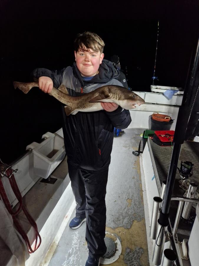 10 lb Bull Huss by Unknown