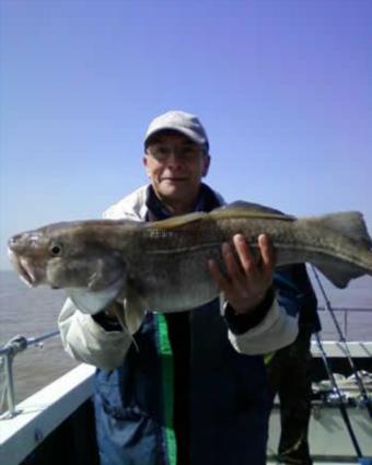 14 lb 9 oz Cod by Roger Jones