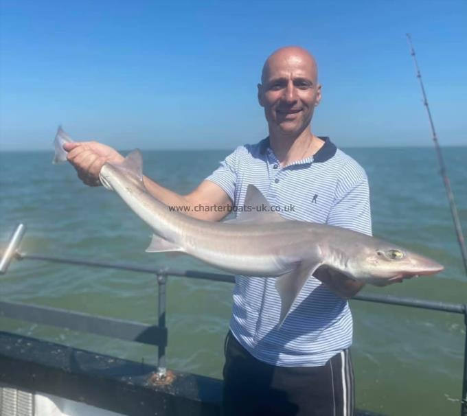 8 lb Smooth-hound (Common) by Unknown