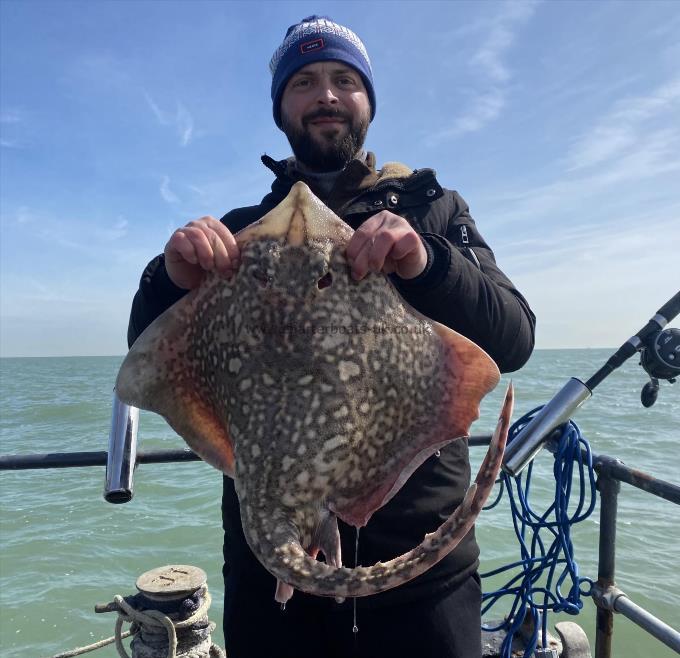 12 lb Thornback Ray by Unknown