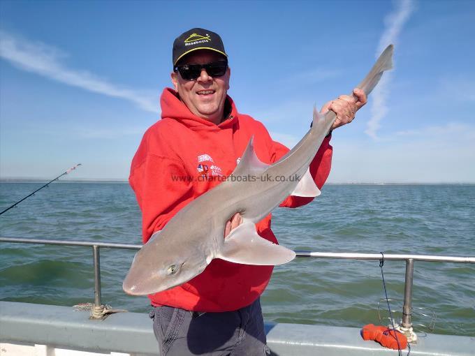 11 lb 2 oz Starry Smooth-hound by Richard Yates