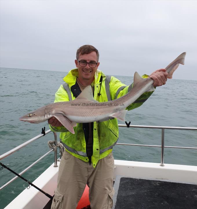 9 lb 8 oz Starry Smooth-hound by Bob Marshall