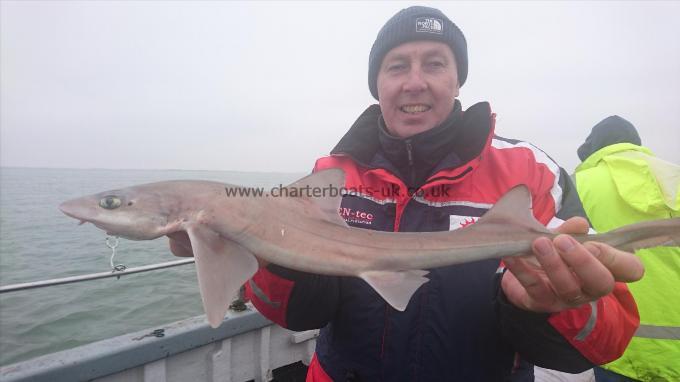 5 lb 8 oz Starry Smooth-hound by Peter from Essex