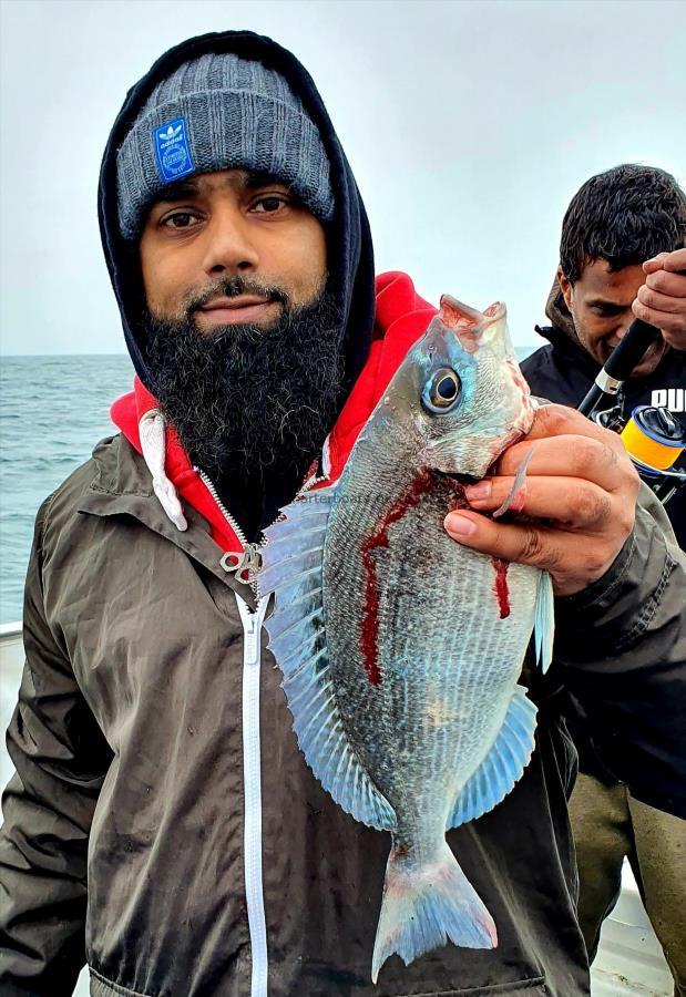 2 lb Black Sea Bream by Unknown