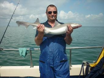 9 lb Smooth-hound (Common) by ian bridges