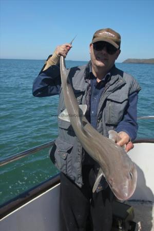 12 lb Starry Smooth-hound by Dennis