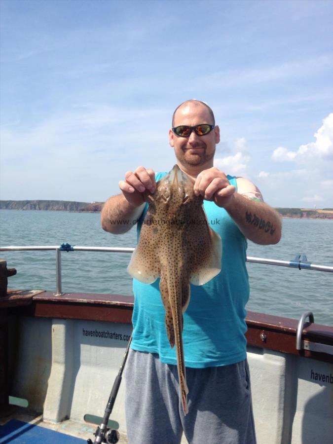 4 lb Spotted Ray by Onslow