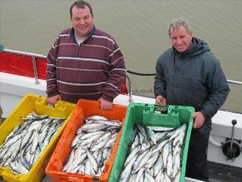 6 oz Herring by James and Dave