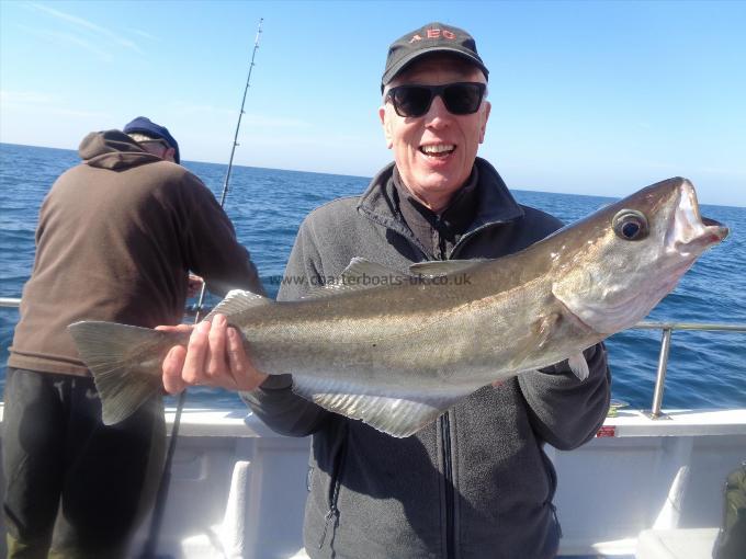 8 lb Pollock by Malcolm