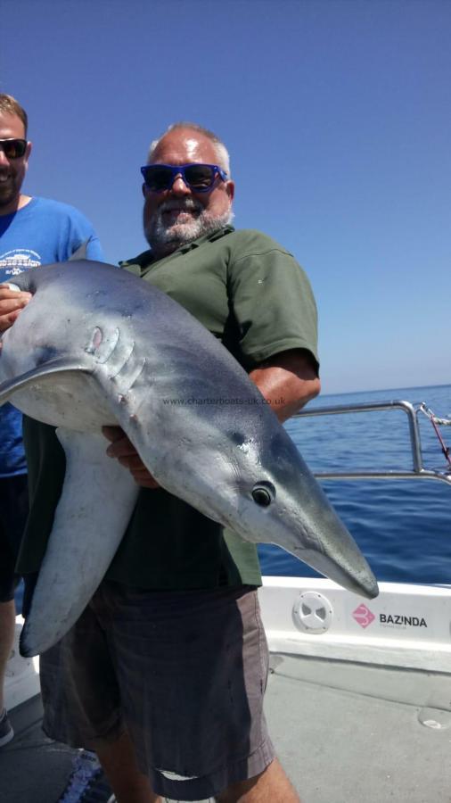 6 oz Blue Shark by COLIN NURSE