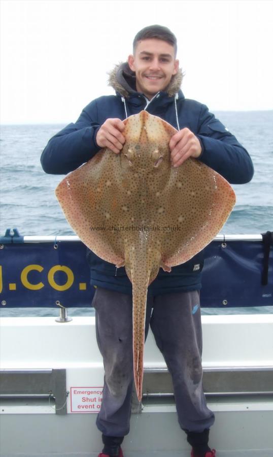 15 lb Blonde Ray by Drew Goble