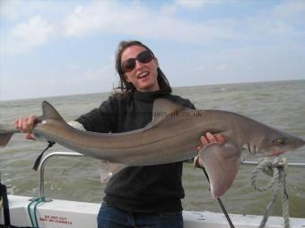 15 lb 2 oz Starry Smooth-hound by Lois Hickey