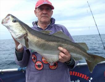 10 lb Pollock by Dodgey Dave Barton