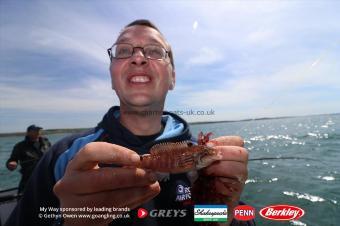 4 oz Goldsinny Wrasse by Gareth