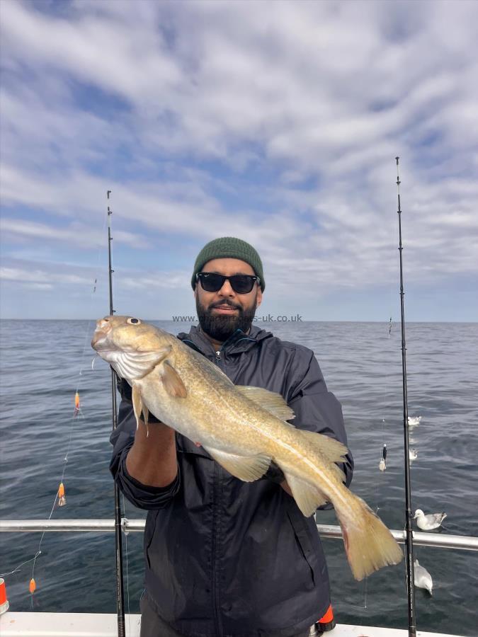 5 lb 8 oz Cod by Zafar