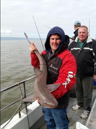 11 lb Smooth-hound (Common) by Lee