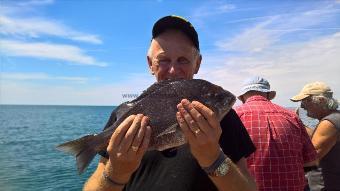 3 lb Black Sea Bream by Stephen Wake