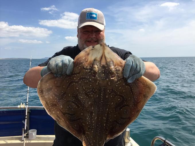 11 lb Undulate Ray by Valdik