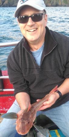 2 lb 12 oz Tub Gurnard by jonathon