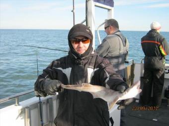 1 lb 7 oz Lesser Spotted Dogfish by Unknown