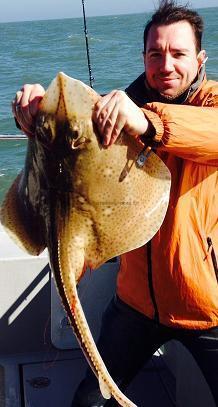 11 lb Blonde Ray by Tom