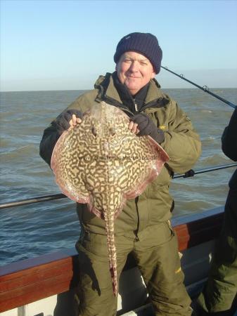 11 lb Thornback Ray by Andy Chindley