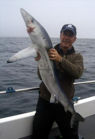 41 lb Blue Shark by Joe