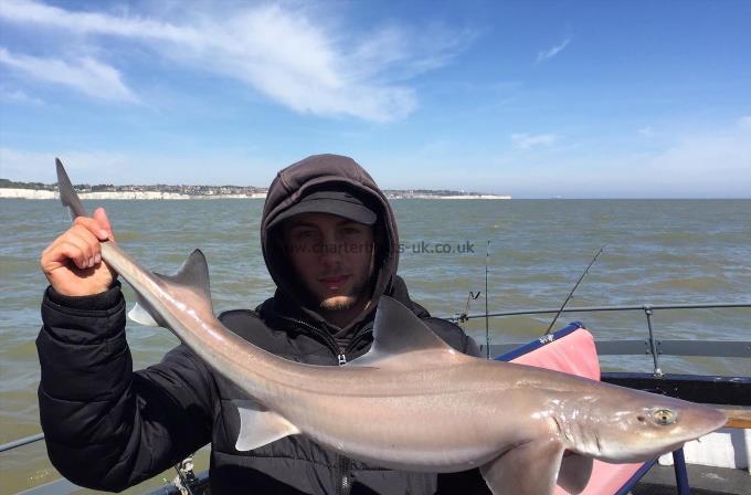 8 lb Smooth-hound by Unknown