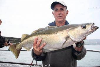 8 lb 14 oz Pollock by George