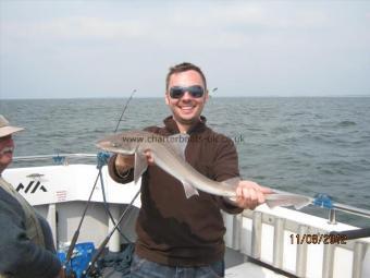 4 lb 5 oz Starry Smooth-hound by Unknown