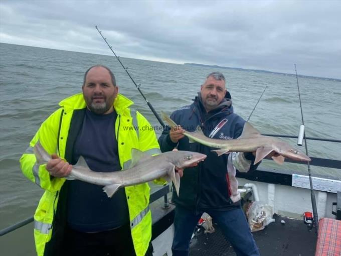 7 lb Smooth-hound by Unknown