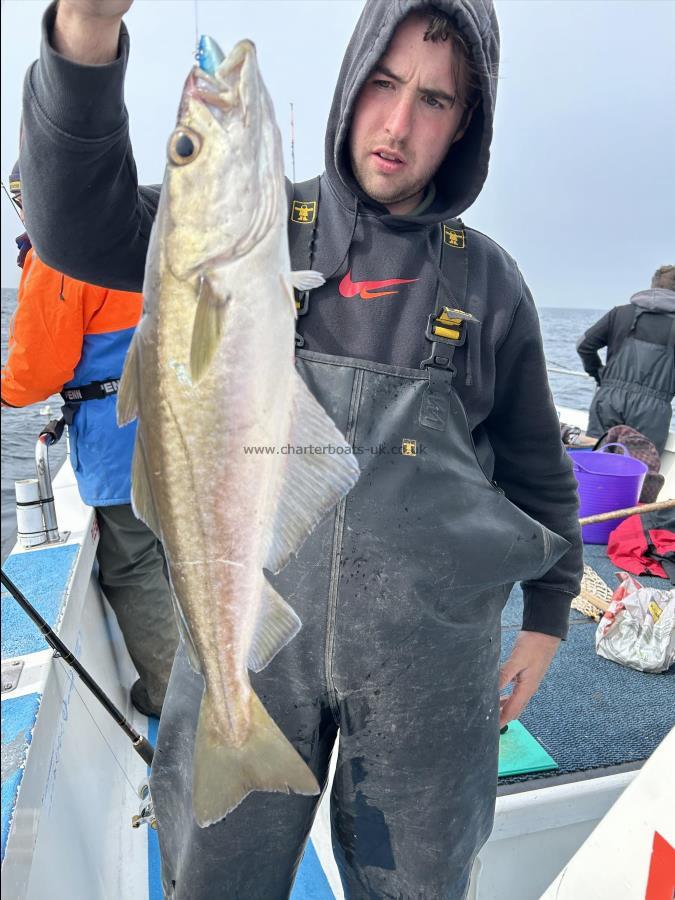 4 lb 3 oz Pollock by Fergus.