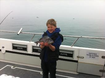 2 lb 5 oz Black Sea Bream by Unknown