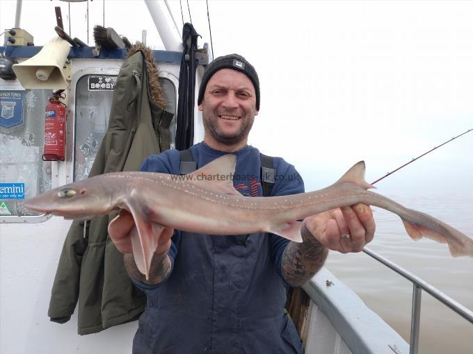 6 lb Smooth-hound (Common) by Mark Wallis